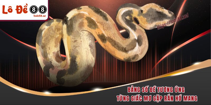 Bảng số đề tương ứng từng giấc mơ gặp rắn hổ mang