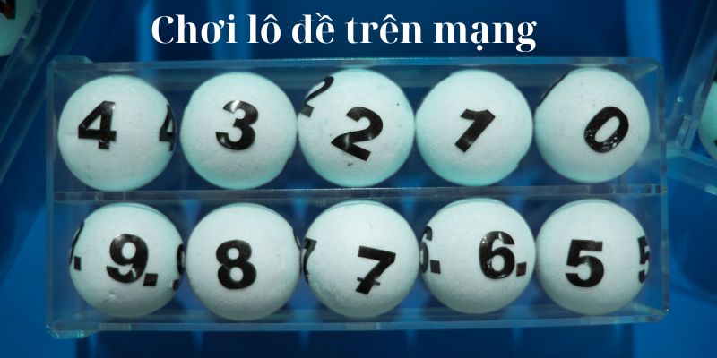 Nên xem xét thời gian nuôi lô phù hợp để trúng lớn