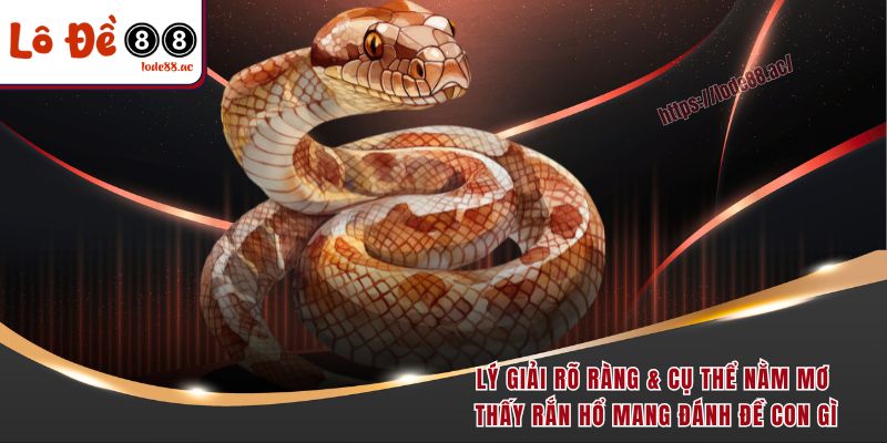 Lý giải rõ ràng & cụ thể nằm mơ thấy rắn hổ mang đánh đề con gì