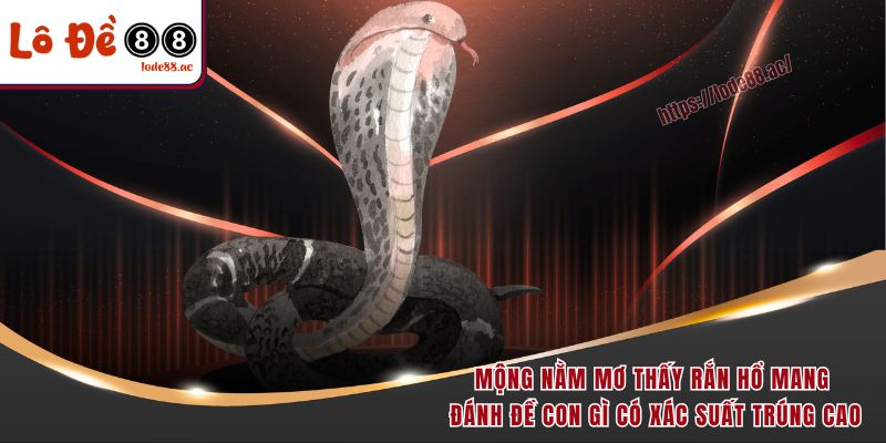Mộng nằm mơ thấy rắn hổ mang đánh đề con gì có xác suất trúng cao
