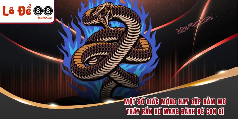 Một số giấc mộng hay gặp nằm mơ thấy rắn hổ mang đánh đề con gì 