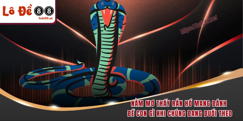 Nằm mơ thấy rắn hổ mang đánh đề con gì khi chúng đang đuổi theo