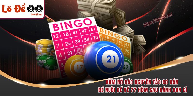 Nắm rõ các nguyên tắc cơ bản để nuôi đề về 77 hôm sau đánh con gì