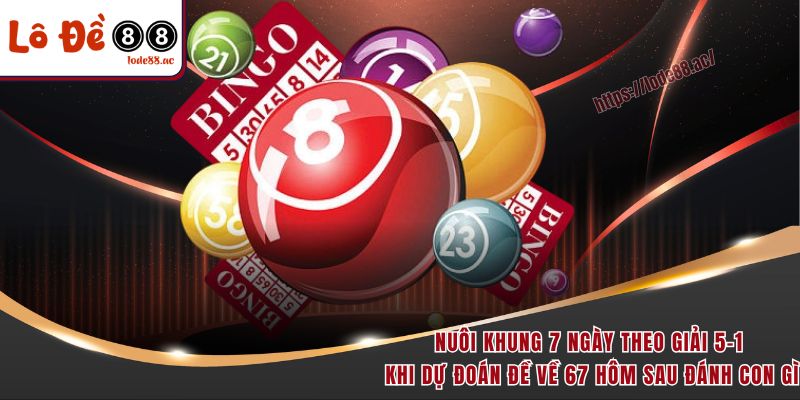 Đề Về 67 Hôm Sau Đánh Con Gì - 3 Cách Soi Cầu Bao Trúng 5 Nuôi khung 7 ngày theo giải 5-1 khi dự đoán đề về 67 hôm sau đánh con gì