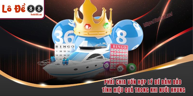 Đề Về 53 Hôm Sau Đánh Con Gì - Cẩm Nang Soi Cầu Năm 2025 7 Phải chia vốn hợp lý để đảm bảo tính hiệu quả trong khi nuôi khung