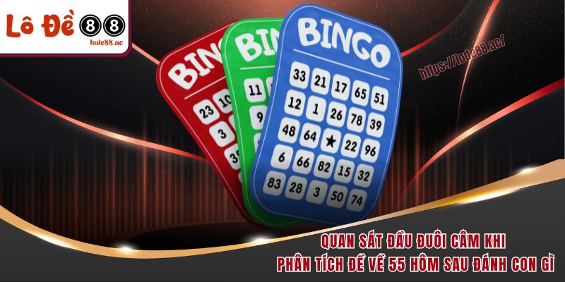Quan sát đầu đuôi câm khi phân tích đề về 55 hôm sau đánh con gì