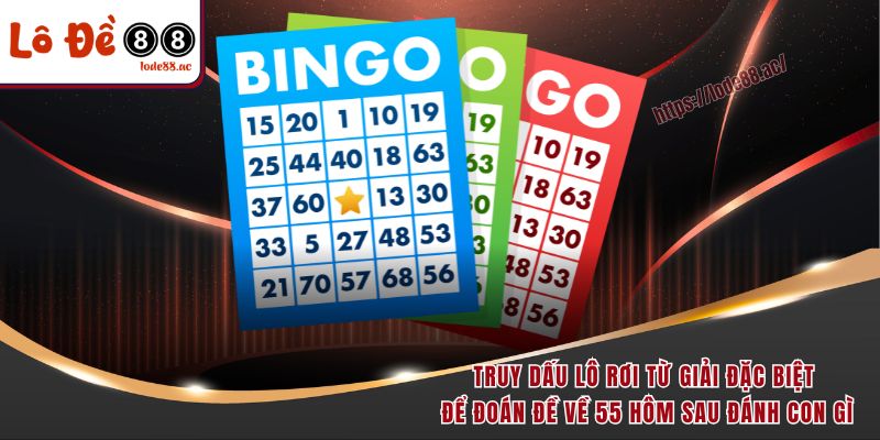 Truy dấu lô rơi từ giải đặc biệt để đoán đề về 55 hôm sau đánh con gì